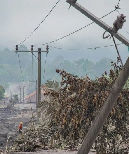 Dampak Erupsi Semeru 204 Ha Lahan Pertanian Rusak 528 Warga Masih Ngungsi