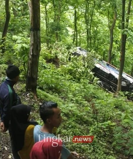 Kecelakaan bus terjun ke jurang di jalur Bondowoso Situbondo