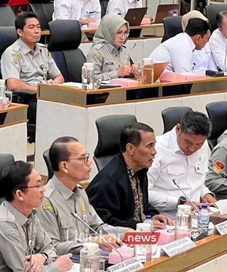 Kementan Targetkan Produksi Beras 3477 Juta Ton pada 2026