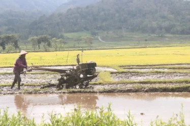 Pemkab Situbondo Usulkan Alokasi Pupuk Subsidi 72.953 Ton Tahun 2026