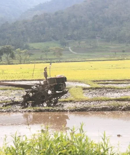 Pemkab Situbondo Usulkan Alokasi Pupuk Subsidi 72.953 Ton Tahun 2026