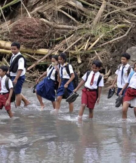 Prabowo Targetkan Bangun 300 Ribu Jembatan untuk Siswa di Pelosok