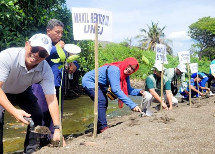 Tanam Ratusan Mangrove, Situbondo Kembangkan Ekowisata Kawasan Pantai 1 unnamed file 28 750x536 1