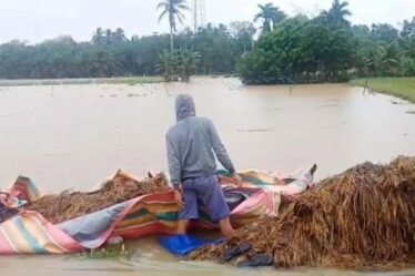 DPR Dukung Penghapusan Utang KUR Petani Terdampak Bencana di Sumatra