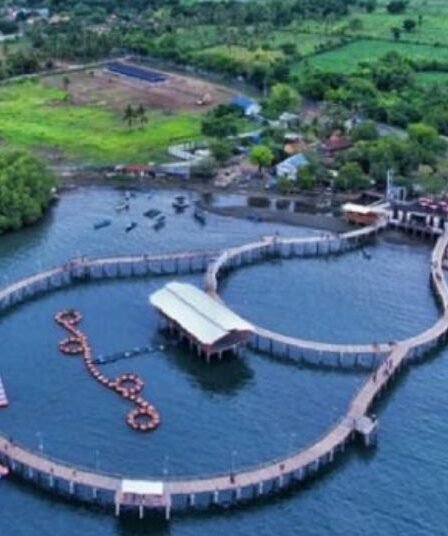 Kampung Kerapu Situbondo Jadi Zona Percontohan Budi Daya Lobster Nasional