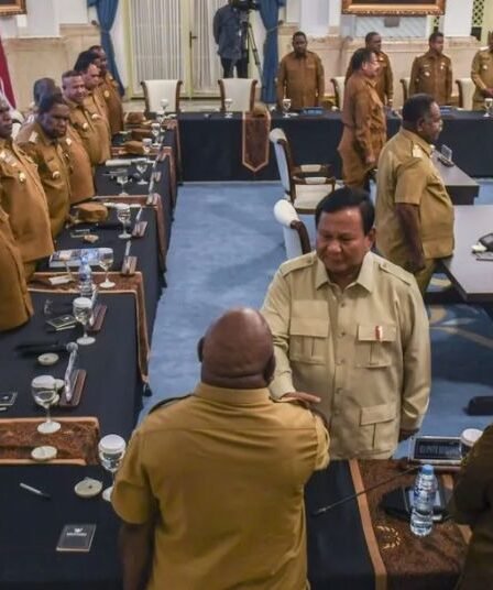 Prabowo Kebut Pembangunan Papua di Semua Sektor Fokus Ketahanan Pangan