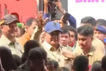 unnamed file 184 750x536 1