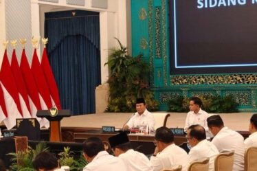 unnamed file 196 750x536 1