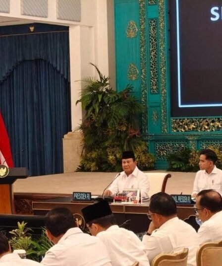 unnamed file 196 750x536 1