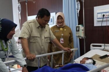 unnamed file 206 750x536 1