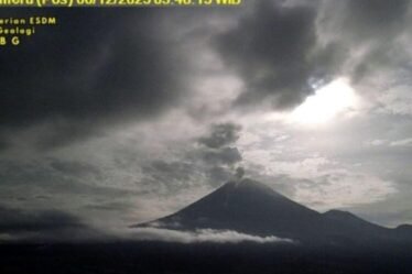 unnamed file 65 750x536 1