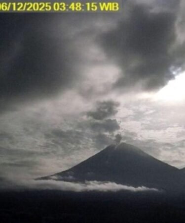 unnamed file 65 750x536 1