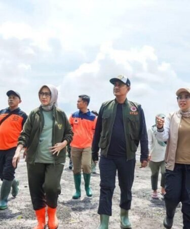 unnamed file 71 750x536 1