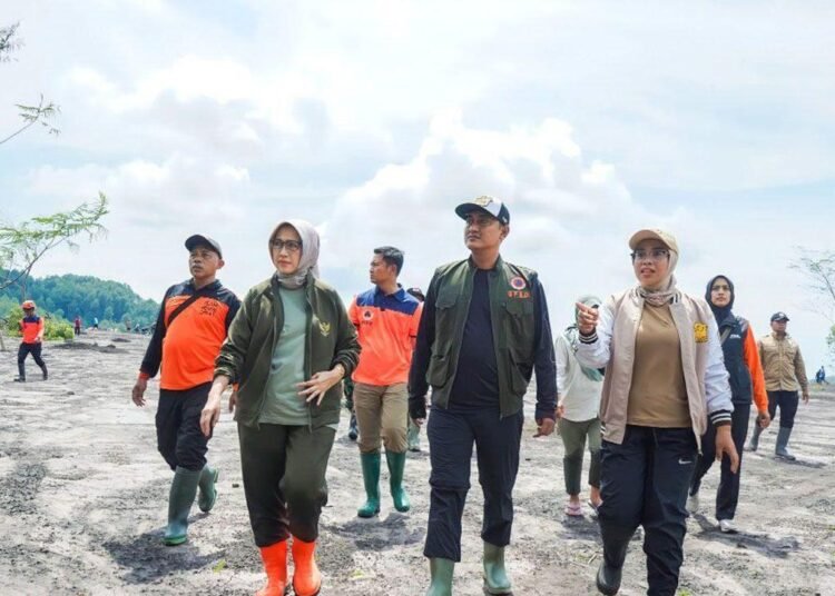 unnamed file 71 750x536 1