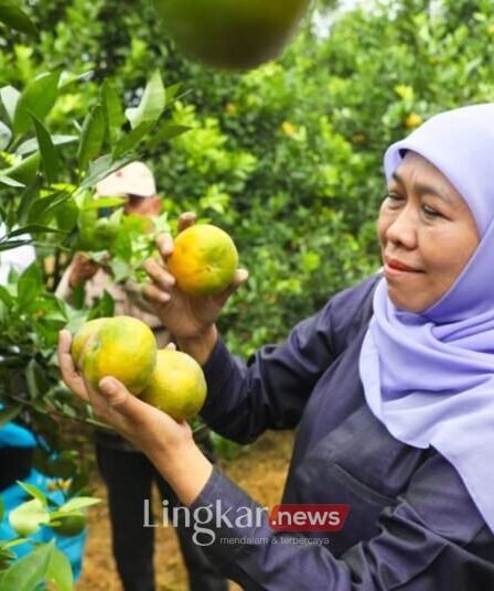 Gubernur Jatim Khofifah 2