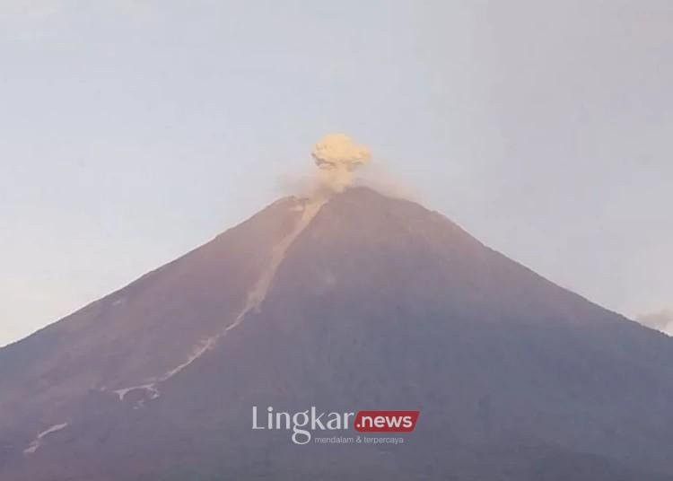 gunung semeru erupsi 17012026