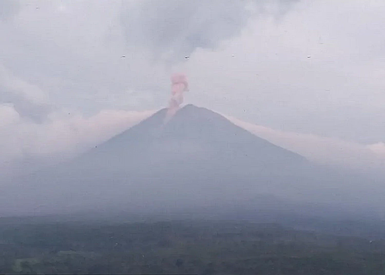 gunung semeru erupsi 19012026