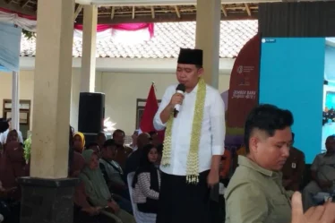 bupati jember muhammad fawaid
