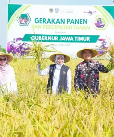 gubernur jatim khofifah panen padi madiun 750x536 1