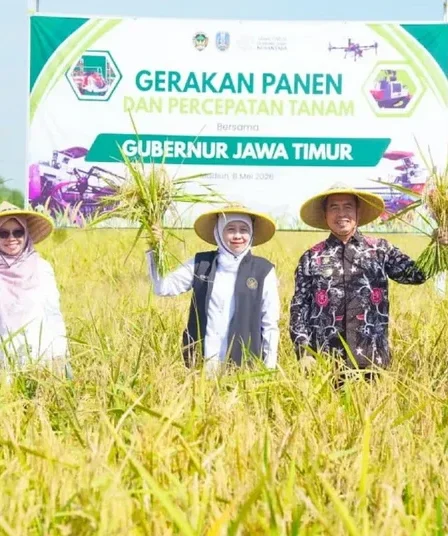 Jadi Lumbung Pangan Nasional, Jatim Targetkan Produksi Padi Naik 5 Persen 2 gubernur jatim khofifah panen padi madiun 750x536 1