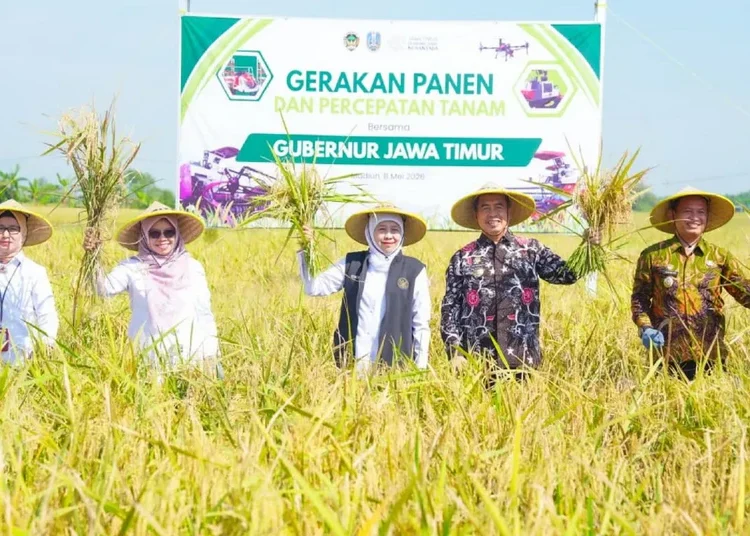 gubernur jatim khofifah panen padi madiun 750x536 1