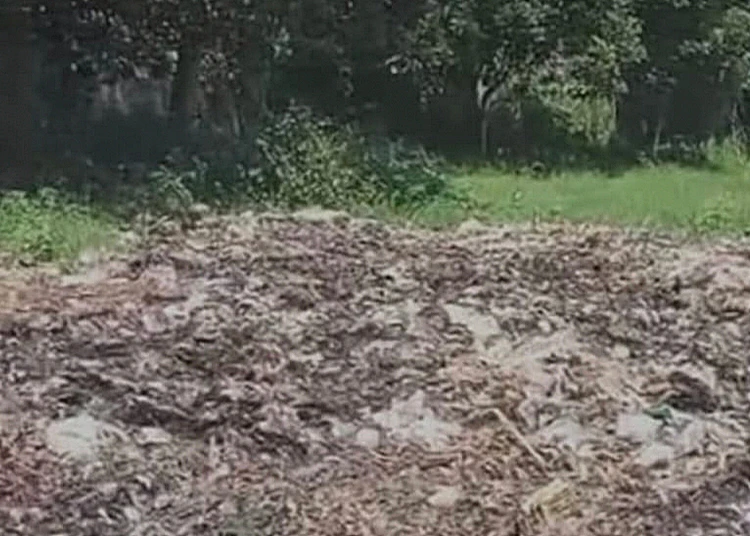 tumpukan sampah patemon jember akhirnya dibersihkan
