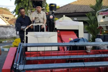bupati jember coba alsintan