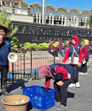 petani jember bagi timun gratis