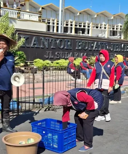 Harga Timun Anjlok Jadi Rp1.000 per Kg, Petani di Jember Bagikan 2 Kuintal Gratis ke Warga 2 petani jember bagi timun gratis