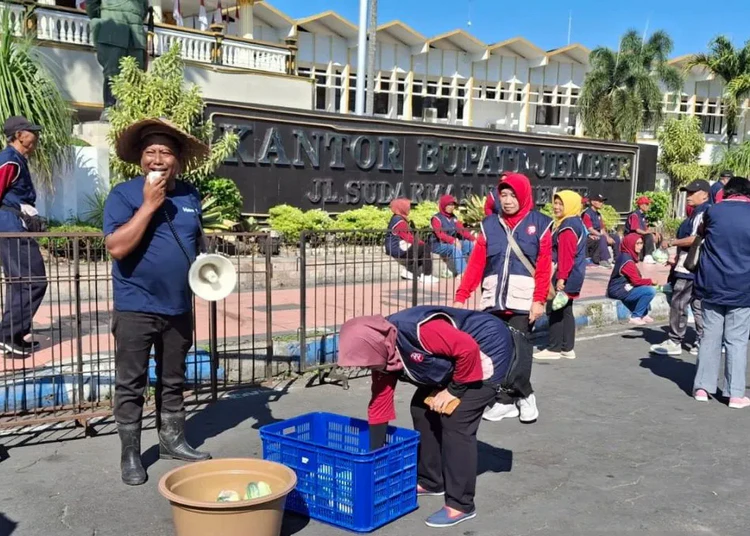 petani jember bagi timun gratis