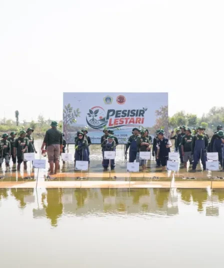 1786439134 pemkab gresik kolaborasi dengan pt smelting kick off program pesisir lestari tanam 10000 mangrove amankan generasi mendatang MieoKb 750x536 1