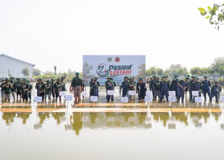 1786439134 pemkab gresik kolaborasi dengan pt smelting kick off program pesisir lestari tanam 10000 mangrove amankan generasi mendatang MieoKb 750x536 1