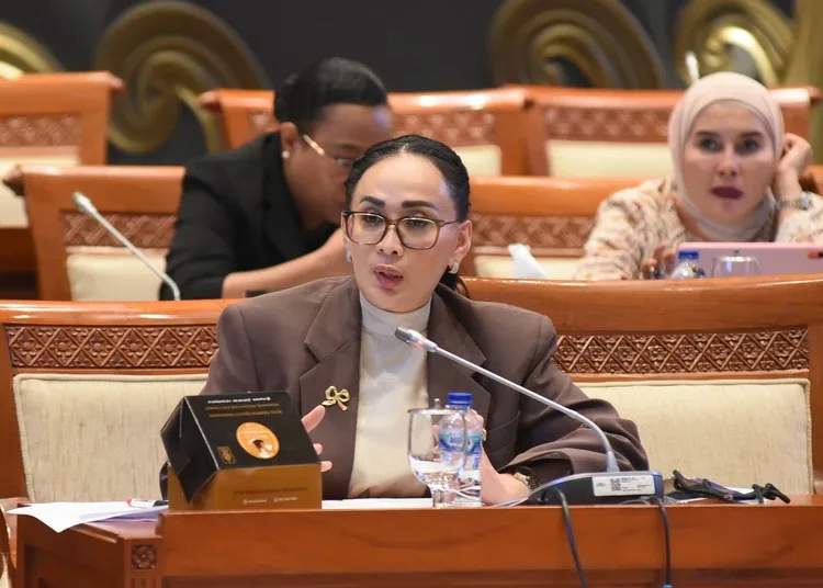 anggota komisi i dpr ri amelia anggraini 750x536 1