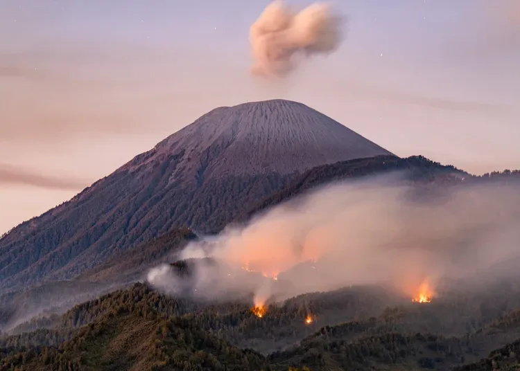 Karhutla Mengancam, Pendakian di 9 Taman Nasional Ditutup Sementara 1 kebakaran di kawasan pendakian semeru 750x536 1