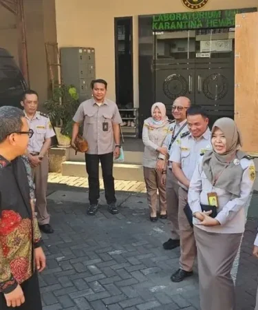 kepala barantin abdul kadir karding tinjau layanan karantina bandara juanda 750x536 1