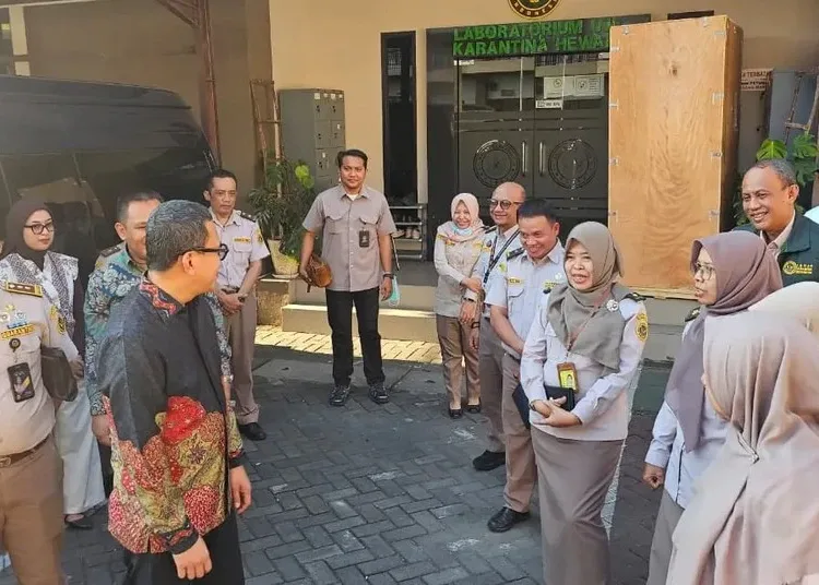 kepala barantin abdul kadir karding tinjau layanan karantina bandara juanda 750x536 1