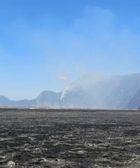 padang rumput di kawasan gunung bromo terdampak kebakaran 750x536 1