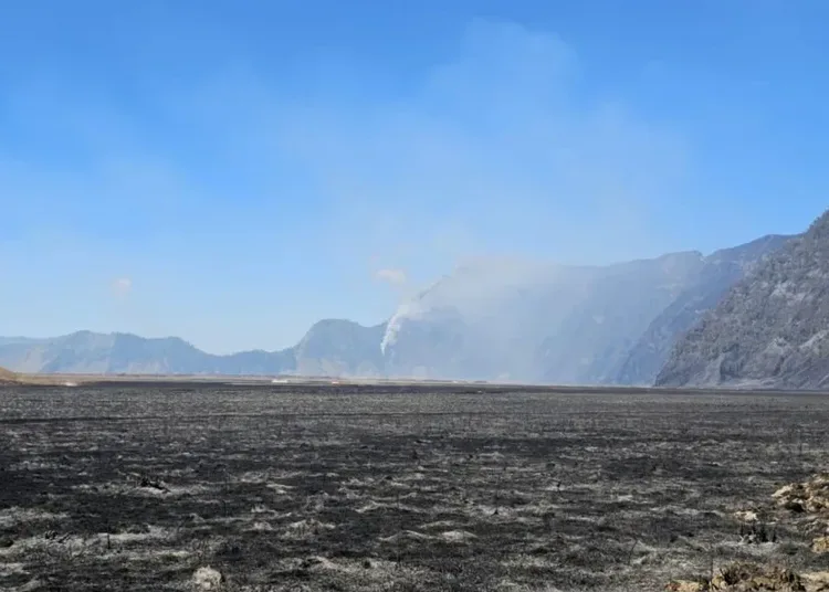 Karhutla Bromo Mulai Terlokalisasi, Satu Titik Api di Pasuruan Masih Sulit Dipadamkan 1 padang rumput di kawasan gunung bromo terdampak kebakaran 750x536 1