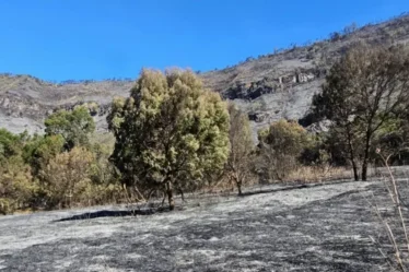 padang rumput gunung bromo terdampak kebakaran 750x536 1