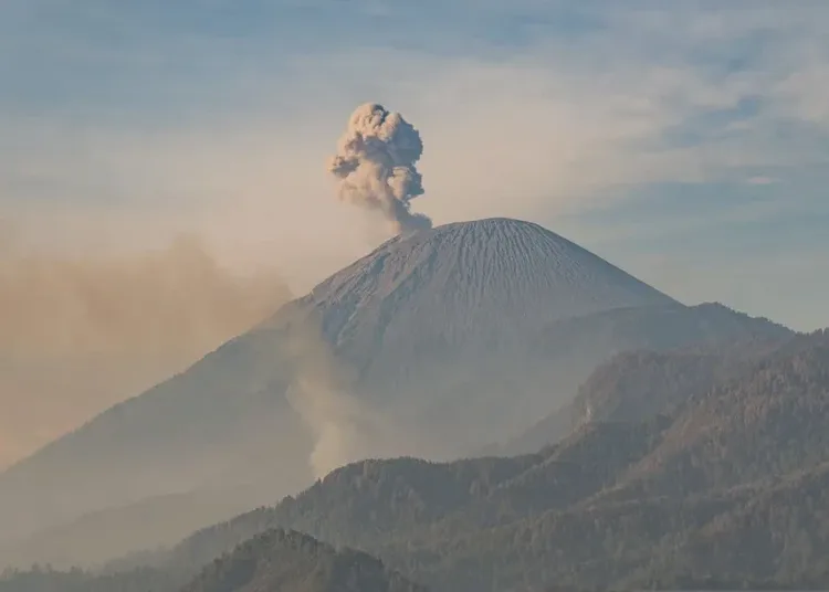 Gunung Semeru Erupsi, Warga Dilarang Beraktivitas hingga Radius 13 Kilometer dari Puncak 1 gunung semeru erupsi 750x536 1