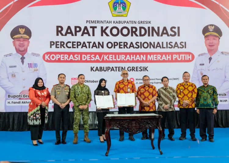 Percepatan Operasional, Pemkab Gresik Siapkan Verifikasi 190 Koperasi Merah Putih 1 1792666692 pemkab gresik gelar rakor percepatan operasionalisasi 356 koperasi merah putih iAnCcB 750x536 1