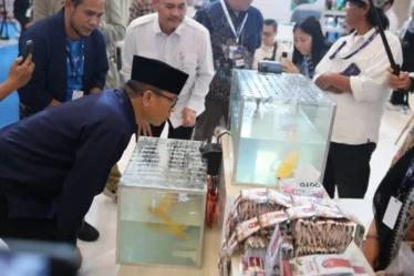 Hilirisasi Pala Desa Berpotensi Besar Tembus Pasar Global di TEI 2026 6ad0e80b50b79