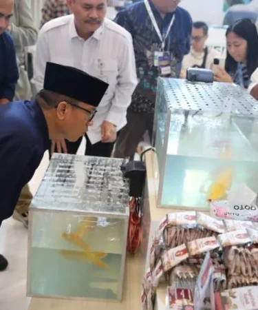 Hilirisasi Pala Desa Berpotensi Besar Tembus Pasar Global di TEI 2026 6ad0e80b50b79