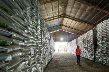 Petrokimia Gresik siapkan 443000 ton pupuk subsidi hadapi musim tanam 750x536 1