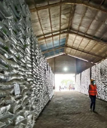 Petrokimia Gresik siapkan 443000 ton pupuk subsidi hadapi musim tanam 750x536 1